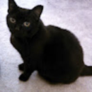 Meet your Posher, Philip